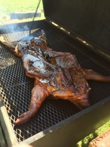Spatchcocked pig on the smoker, a visually stunning display of grilling mastery