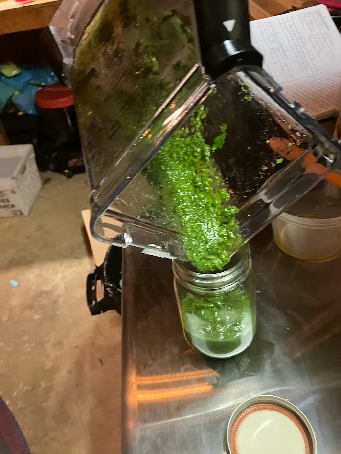 Pouring vibrant chimichurri sauce from a blender into a rustic mason jar, capturing the essence of homemade freshness and flavor infusion